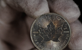 Canadia-Maple-Silver-Coin-Milk-Spots-Example