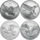 Pre-Owned 2014 - 2015 Canadian Bird of Prey 1oz Silver Coin Series 4 Coin Collection - VAT Free