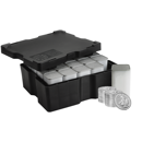 2025 UK Britannia 1/4oz Silver Coin - Monster Box of 380 Coins