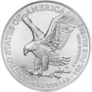 Pre-Owned USA Eagle Type II 1oz Silver Coins - Mixed Dates - VAT Free