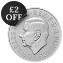 Pre-Owned Capital Gains Tax Free UK 1oz Silver Coin - Best Value - VAT Free