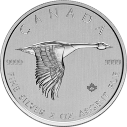 Pre-Owned 2020 Canadian Goose 2oz Silver Coin - VAT Free