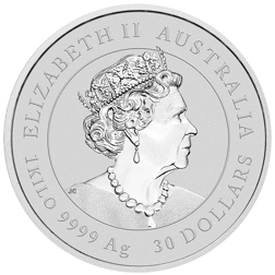 Pre-Owned 2020 Australian Lunar Mouse 1kg Silver Coin - VAT Free