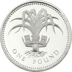 Pre-Owned 1985 UK £1 Proof Design Silver Coin - VAT Free
