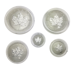 Pre-Owned 2004 Canadian Maple Leaf Privy Mark Five Coin Set - Damaged Capsule - VAT Free