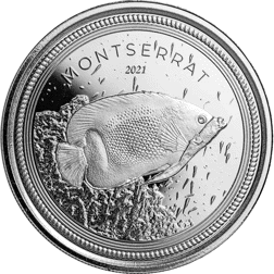 Pre-Owned 2021 Montserrat Blue Girdled Angelfish 1oz Silver Coin - VAT Free