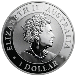 Pre-Owned 2022 Australian Emu 1oz Silver Coin - VAT Free