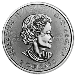 Pre-Owned 2018 Canadian Polar Bear 1/2oz Silver Coin - VAT Free