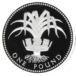 Pre-Owned 1990 £1 Proof Silver Coin - VAT Free
