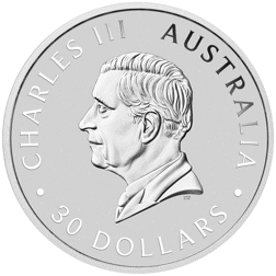 2025 Australian Kookaburra 1kg Silver Coin