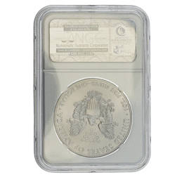 Pre-Owned 2014 USA Eagle 1oz Silver Coin - NGC Graded MS70 - 3855757-336 - VAT Free