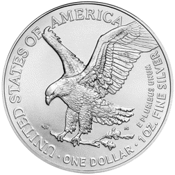 2025 USA Eagle 1oz Silver Coin