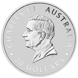 2025 Australian Koala 1kg Silver Coin