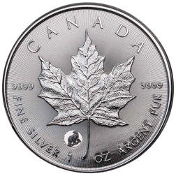 Pre-Owned 2024 Canadian Maple 'Polar Bear Privy' 1oz Silver Coin - VAT Free