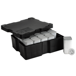 2025 UK The British Lion 1oz Silver Coin