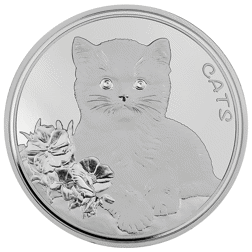 Pre-Owned 2022 Fiji Cats 1oz Silver Coin - VAT Free