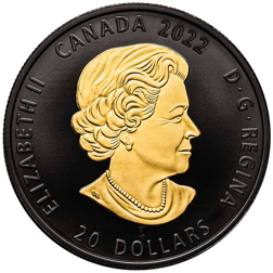 Pre-Owned 2022 Canadian The Sea Otter Black and Gold 1oz Proof Silver Coin - VAT Free