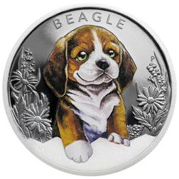 Pre-Owned 2018 Australian Puppies Beagle Colourised 1/2oz Proof Silver Coin - VAT Free