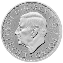 Pre-Owned UK Britannia 1/2oz Silver Coin - Mixed Dates - VAT Free