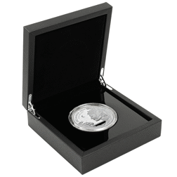 2024 UK Britannia 5oz Proof Silver Coin