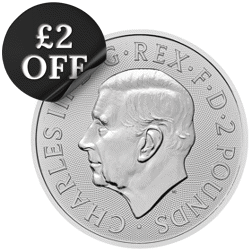 Pre-Owned Capital Gains Tax Free UK 1oz Silver Coin - Best Value - VAT Free