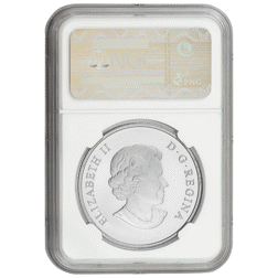 Pre-Owned 2014 Canadian Bald Eagle 1oz Matte Proof Silver Coin - NGC Graded PF70 - 3862985-033 - VAT