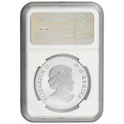 Pre-Owned 2014 Canadian Bald Eagle 1oz Matte Proof Silver Coin - NGC Graded PF70 - 3862985-085 - VAT