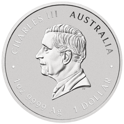 Pre-Owned 2024 Australian Four Guardians 1oz Silver Coin - VAT Free