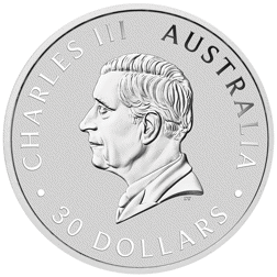 2026 Australian Koala 1kg Silver Coin