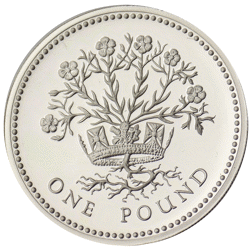 Pre-Owned 1991 UK £1 Proof Silver Coin - VAT Free