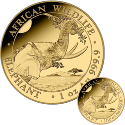 2023 Somalian Elephant 1oz & 1/10oz Gold Coin Collection