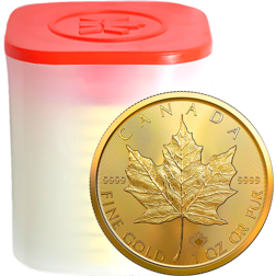 2023 Canadian Maple 1oz Gold Coin - Full Tube of 10 Coins