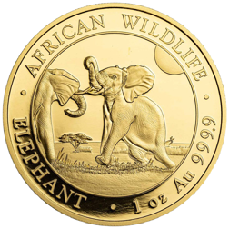 2024 Somalian Elephant 1oz Gold Coin