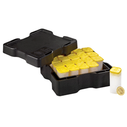 2025 UK The British Lion 1/4oz Gold Coin