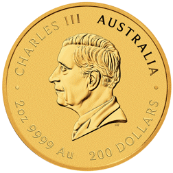 2026 Australian Lunar Horse 2oz Gold Coin