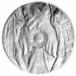 Pre-Owned 2020 South African 'Big Five Series' Elephant 1oz Platinum Coin - VAT Free