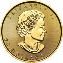 Pre-Owned Canadian Maple 1/2oz Gold Coin - Mixed Dates