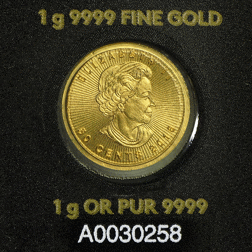 Pre-Owned Maplegram25 25x 1g Gold Coins