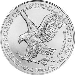 USA Eagle 1oz Silver Coin Type I and II - Mixed Dates