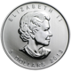 Pre-Owned 2013 Canadian Maple 1oz Silver Coin - 25th Anniversary - VAT Free