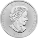 Pre-Owned 2019 Canadian Grizzly Bear 1oz Silver Coin - VAT Free