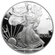 Pre-Owned 2004 USA Eagle 1oz Proof Design Silver Coin - VAT Free