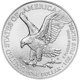 2025 USA Eagle 1oz Silver Coin
