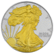 Pre-Owned 2005 USA Eagle Gilded 1oz Silver Coin - VAT Free