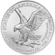 2026 USA Eagle 1oz Silver Coin