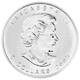 Pre-Owned 2005 Canadian Big Leaf Maple Colourised 1oz Silver Coin - VAT Free