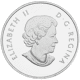 Pre-Owned 2013 Canadian Summer Fun $10 Proof Silver Coin - VAT Free