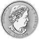 Pre-Owned Canadian Twin Maple 2oz Silver Coin - Mixed Dates - VAT Free