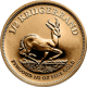 2025 South African Krugerrand 1/2oz Gold Coin