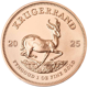 2025 South African Krugerrand 1oz Gold Coin